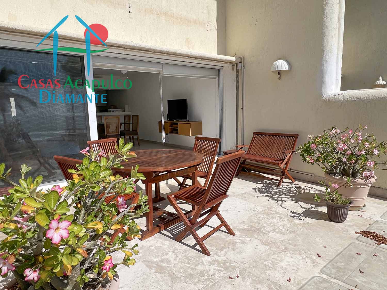 Albatros 203 - Terraza 1